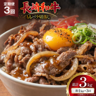 AJ577 【3回定期便】長崎和牛 切り落とし (もも・バラ) 約1kg (500g×2P) [ 肉 牛肉 和牛 高級 おいしい ステーキ肉 まるしん商会 黒牛 長崎県 島原市 ]