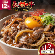 AJ579 【12回定期便】長崎和牛 切り落とし (もも・バラ) 約1kg (500g×2P) [ 肉 牛肉 和牛 高級 おいしい ステーキ肉 まるしん商会 黒牛 長崎県 島原市 ]