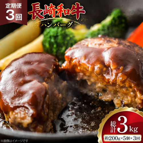 AJ586 【3回定期便】長崎和牛 ハンバーグ 約1kg (200g×5個) [ 肉 牛肉 和牛 おいしい ひき肉 焼くだけ おかず まるしん商会 黒牛 長崎県 島原市 ] 2531109 - 長崎県島原市