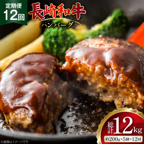 AJ588 【12回定期便】長崎和牛 ハンバーグ 約1kg (200g×5個) [ 肉 牛肉 和牛 おいしい ひき肉 焼くだけ おかず まるしん商会 黒牛 長崎県 島原市 ] 2531113 - 長崎県島原市
