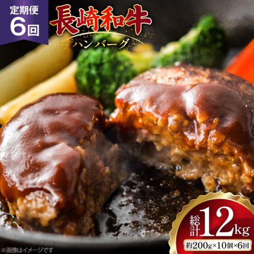 AJ590 【6回定期便】長崎和牛 ハンバーグ 約2kg (200g×10個) [ 肉 牛肉 和牛 おいしい ひき肉 焼くだけ おかず まるしん商会 黒牛 長崎県 島原市 ] 2531120 - 長崎県島原市