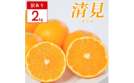 ＜訳あり＞清見 2kg 愛媛県 八幡浜市 西宇和地区 柔らかい果肉＜C25-380＞【1716954】