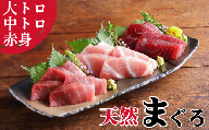 本物の味をお届け！厳選！天然三崎まぐろ大トロ・中トロ・赤身セット【5月お届け】　M005-038-05