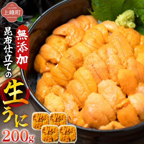 無添加 昆布仕立ての生うに 50g×4P | 生うに 無添加 うに 昆布仕立て 50g 刺身用 海鮮 冷凍 お取り寄せ ギフト 人気 高級 ご褒美用 海鮮丼用 ウニ丼用 高級食材 2531434 - 佐賀県上峰町