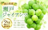瀬戸ジャイアンツ 優 2kg以上 [2026年9月下旬から10月下旬発送予定 / マスカット 葡萄 ぶどう 果物 果実 フルーツ 皮ごと 大粒 種なし 岡山県 美咲町
