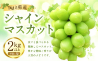 シャインマスカット 優 2kg以上 [2026年10月上旬から10月下旬発送予定] / マスカット 葡萄 ぶどう 果物 果実 フルーツ 皮ごと 種なし 岡山県 美咲町