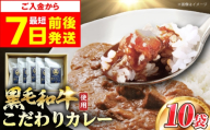 カレー 【母の日配送】 モリタ屋オリジナル和牛カレー10袋 カレー カレーレトルト 人気 レトルトカレー レトルト食品 レトルト セット レトルトパック パウチ おかず 詰め合わせ 一人暮らし 子供 惣菜 常温保存 常温 簡易包装 おいしい 便利 常備 防災 備蓄  防災食 非常食 保存食 人気 おすすめ 株式会社ミートモリタ屋[AOAI004-888]