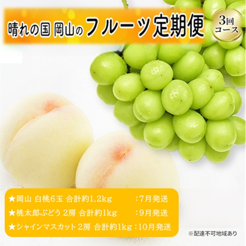 先行予約 晴れの国 岡山のフルーツ 定期便 3回コース 1回目 岡山 白桃6玉 合計約1.2kg／2回目 桃太郎ぶどう２房 合計約1kg／シャインマスカット 2房 合計約1kg 2531593 - 岡山県玉野市