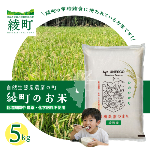 綾町のお米 5kg
 2532102 - 宮崎県綾町