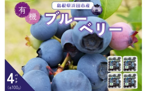 【先行予約】有機ブルーベリー 100g×4パック（島根県浜田市産） 【208_0001】 2532373 - 島根県浜田市
