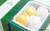 鴨梨 （ヤーリー） 3～6玉 約2kg 贈答箱 ／ 梨 なし ナシ 果物  【2026年11月下旬～12月下旬発送予定】