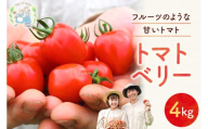 【先行予約2026年7月】子供も大好き！まるでフルーツ！ハート型 トマトベリー 4kg  樹上完熟 果肉たっぷりジューシー