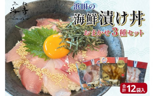 浜田の海鮮漬け丼おまかせ3種セット 12パック 【195_2021】 2532590 - 島根県浜田市