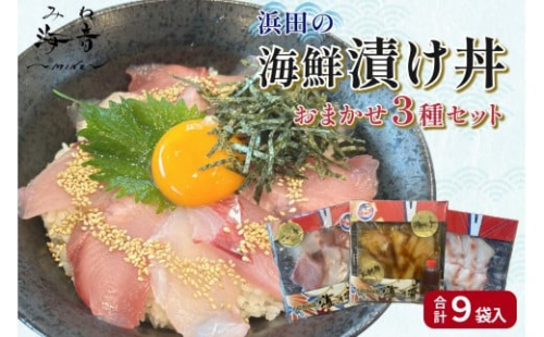 浜田の海鮮漬け丼おまかせ3種セット 9パック 【195_2020】 2532591 - 島根県浜田市