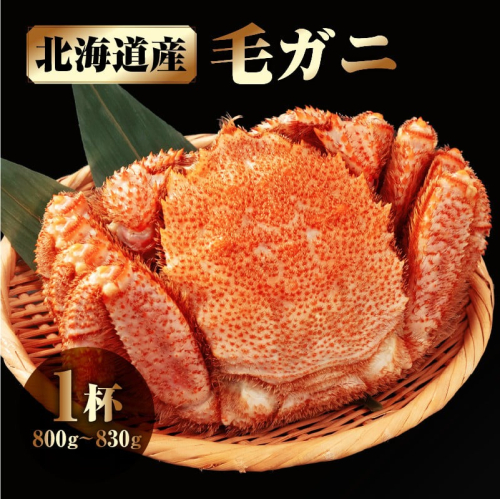 北海道産 毛ガニ1杯(800～830g)_H0001-129 2532606 - 北海道浜中町