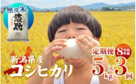 先行予約 令和8年産 無洗米 コシヒカリ 定期便 5kg 3回 15kg 特別栽培米 コンテスト 入賞 [ 3か月 コンテスト 入賞米 米 おこめ お米 ブランド米 ご飯 ごはん オニギリ お弁当 kome 送料無料 数量限定 農家直送 産地直送 国産 川瀬農園 四代目 悠助 新潟 新発田 kwsMKH004_202609 ]
