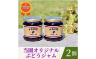【ぶどう屋さんすずき】当園オリジナル ぶどうジャム　2個 ／ 巨峰ジャム フルーツジャム 国産ジャム 手作りジャム パンのお供 ヨーグルト トッピング デザートソース 料理 アレンジ 朝食 食品ギフト おしゃれジャム 甘さ控えめ フルーツソース 愛知県 No.538