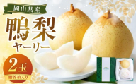 鴨梨（ヤーリー）2玉 贈答箱 梨 ナシ なし 【2026年11月下旬～12月下旬発送予定】