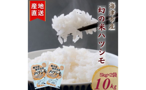 【令和7年度産/白米】ハツシモ 10kg 岐阜県海津市産 2532903 - 岐阜県海津市