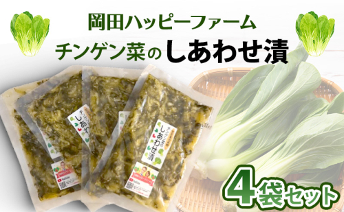 チンゲン菜のしあわせ漬け 100g×4個セット チンゲン菜 チンゲンサイ 漬物 副菜 醤油漬け ご飯のお供 広島 安芸高田市 2532971 - 広島県安芸高田市