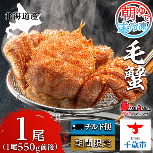 北海道産【朝ゆで】毛ガニ（550g前後）1尾 期間限定！≪かにのマルマサ≫ かに 毛がに カニ 千歳 北海道 海鮮 2532974 - 北海道千歳市