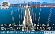 白鳥大橋主塔登頂クルーズ 標準コースチケット 大人1名様 【 ふるさと納税 人気 おすすめ ランキング  体験 チケット 白鳥大橋 主塔 登頂 クルーズ イベント 休日 休暇 休み 北海道 室蘭市 送料無料 】 MROX007