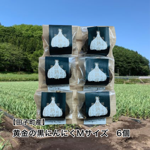 丸美農園 田子町産【遠赤外線熟成】黄金の黒にんにく(Mサイズ)　6個 2533414 - 青森県田子町