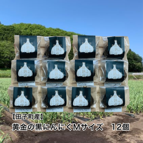 丸美農園 田子町産【遠赤外線熟成】黄金の黒にんにく(Mサイズ)　12個 2533415 - 青森県田子町