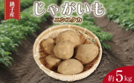 先行予約 じゃがいも 約5kg ニシユタカ 芋 イモ サイズ不揃い 期間限定 国産 銚子産 産地直送 野菜 新鮮 美味しい 人気 オススメ 大容量 ポテト ポテトフライ 肉じゃが カレー じゃがバター 味噌汁 ポトフ シチュー BBQ キャンプ 朝食 おかず お弁当 お取り寄せ 旬 常温 送料無料 ふるさと納税 千葉県 銚子市 サンズファーム 【2026年5月中旬～2026年9月末頃発送予定】