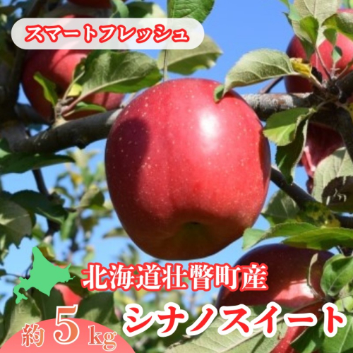 ファームアグリエイトのりんご「シナノスイート」 約5kg（18～20玉）【スマートフレッシュ】 SBTB017 2533441 - 北海道壮瞥町