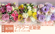 全3回フラワー定期便 3月~5月 春コース(ラッピングなし) ip-ftxsp