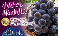 [2026年先行予約] 訳あり 三次のぶどう ニュー ピオーネ 不揃い (約4kg/8から10房)[8月下旬頃から順次発送] 小房 三次市 / 黒瀬ぶどう園 [APAB006]