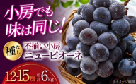 [2026年先行予約] 訳あり 三次のぶどう ニュー ピオーネ 不揃い(約6kg/12から15房) [8月下旬頃から順次発送] 小房 三次市 / 黒瀬ぶどう園 [APAB007]
