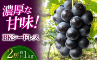 [先行予約]ぶどう BKシードレス (約1kg/2房) [8月下旬頃から順次発送] 三次市 / 黒瀬ぶどう園 [APAB008]