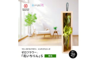 水のいらない花 ゼロフラワー「花いちりん」 S 草花