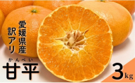 みかん 甘平 3kg ご家庭用 バラ詰め 愛媛 【2027年2月から順次発送予定】 数量限定 柑橘 フルーツ 国産 伊予侍ファーム 伊予市｜B458