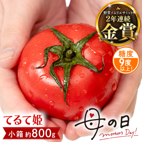 【母の日専用】 スーパーフルーツトマト てるて姫 小箱 約800g ×1箱 糖度9度以上 《5月4日～10日お届け メッセージカード付》 トマト とまと 野菜 母の日 ギフト 贈り物 プレゼント 感謝 記念日 [BC096sa] 2534795 - 茨城県桜川市