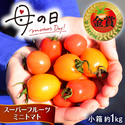 【母の日専用】 スーパーフルーツミニトマト 小箱 約1kg ×1箱 《5月4日～10日お届け メッセージカード付》 ミニトマト フルーツトマト ブランドトマト 野菜 母の日 ギフト 贈り物 プレゼント 感謝 記念日 [BC097sa] 2534796 - 茨城県桜川市