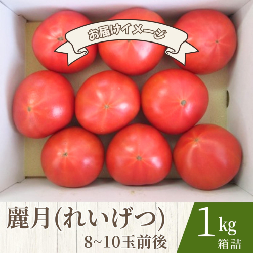 【糖度7度以上】麗月トマト 1kg｜冬期育ちの濃厚な甘み・産地直送の完熟トマト 2535013 - 宮城県大崎市