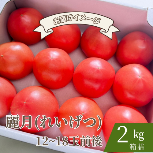 【糖度7度以上】麗月トマト 2kg｜冬期育ちの濃厚な甘み・産地直送の完熟トマト 2535017 - 宮城県大崎市