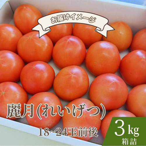 【糖度7度以上】麗月トマト 3kg｜冬期育ちの濃厚な甘み・産地直送の完熟トマト 2535019 - 宮城県大崎市