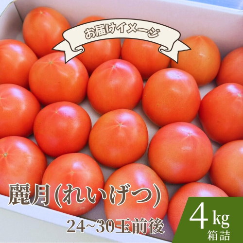 【糖度7度以上】麗月トマト 4kg｜冬期育ちの濃厚な甘み・産地直送の完熟トマト 2535020 - 宮城県大崎市