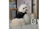 ドッグウェア「VIVIANA」ミラーロゴタンクトップ