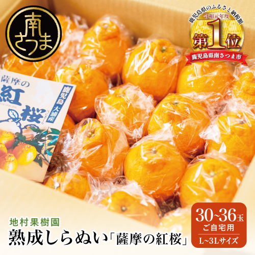 【至高の熟成柑橘】「薩摩の紅桜（不知火）」ご自宅用 30～36玉［L～3Lサイズ］果物 フルーツ 熟成 柑橘 長期貯蔵 しらぬい 不知火 鹿児島 南さつま市 2535267 - 鹿児島県南さつま市