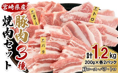 【希少部位・豚トロ入り！】宮崎県産 豚肉 焼肉バラエティセット 合計1.2kg 真空パック 200gずつの便利な小分け 食べ比べ 2535281 - 宮崎県えびの市