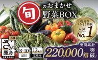 定期便 野菜 12回 野菜定期便 12回 旬のおまかせ野菜BOX (8～10品目) | 定期便 野菜 定期便 12回 12ヶ月 野菜詰め合わせ 野菜セット 果物 旬 定番野菜 人気 ランキング 定期便 じゃがいも レンコン キャベツ 玉ねぎ きのこ アスパラガス やさい ヤサイ 九州 佐賀県 鹿島市 H-13
