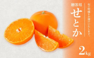 せとか 贈答用 2kg 【順次発送中】 |  みかん 柑橘 みかん せとか 柑橘 みかん 果物  おすすめ 高級 愛媛三大柑橘（ 紅まどんな せとか 甘平 ) 人気 お取り寄せ グルメ ギフト ご当地 送料無料 愛媛県 松山市