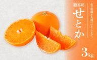 せとか 贈答用 3kg 【順次発送中】 |  みかん 柑橘 みかん せとか 柑橘 みかん 果物  おすすめ 高級 愛媛三大柑橘（ 紅まどんな せとか 甘平 ) 人気 お取り寄せ グルメ ギフト ご当地 送料無料 愛媛県 松山市