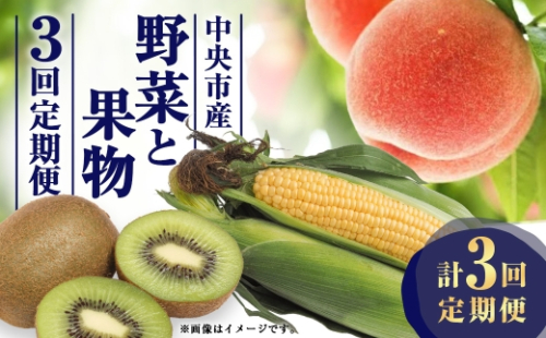 【 3回定期便 】 中央市産 とうもろこし、もも、キウイフルーツ くだもの 果物 フルーツ 野菜 やさい ピーチ モモ 桃 コーン キウイ 旬のお野菜 旬の果物 国産 山梨県産 定期便 【 2026年6月下旬～12月下旬発送予定 】 2535726 - 山梨県中央市