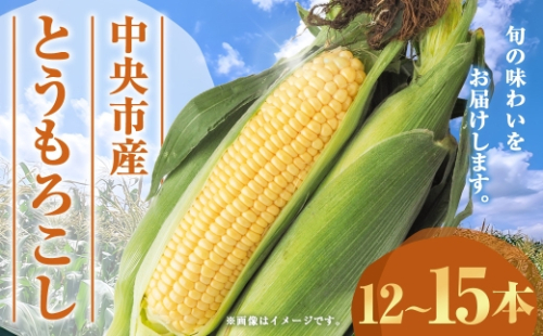 中央市産 とうもろこし 12～15本 コーン 野菜 やさい 旬のお野菜 国産 山梨県産 【 2026年6月下旬発送予定 】 2535729 - 山梨県中央市
